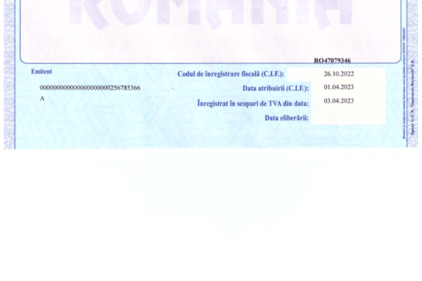CERTIFICAT-TVA-NBS-1-724x1024